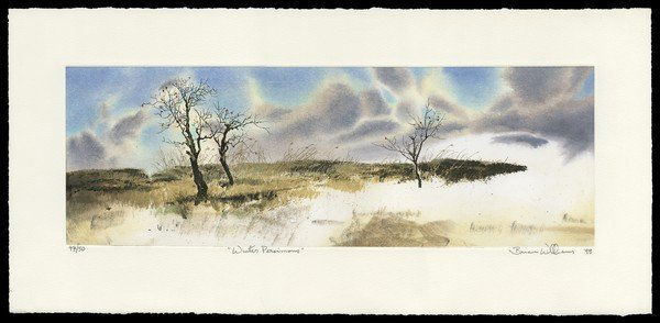 Brian Williams Lithograph: Title: Winter Persimmons Artist: Williams, Brian, b.1950Edition: 47/50Date: 1998