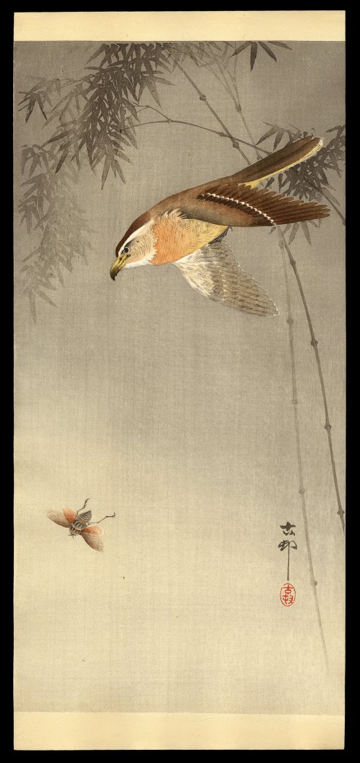 Ohara Koson Woodblock - Hawk Chasing an Insect (1 of 2)