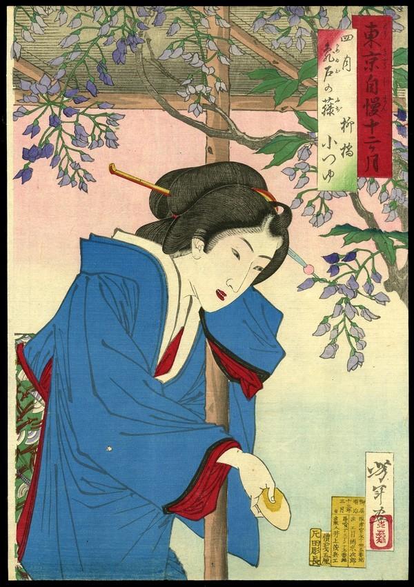 Taiso Yoshitoshi Woodblock: Title: April: Otsuyu of Yanagibashi in Wisteria Arbor at Kameido Artist: Yoshitoshi, Taiso, 1839-1892Series: Pride of Tokyo's Twelve M