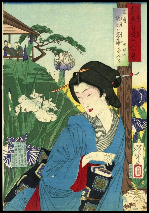 Taiso Yoshitoshi Woodblock: Title: May: Tanko of Osakamachi in Iris Garden at Horikiri Artist: Yoshitoshi, Taiso, 1839-1892Series: Pride of Tokyo's Twelve Months<