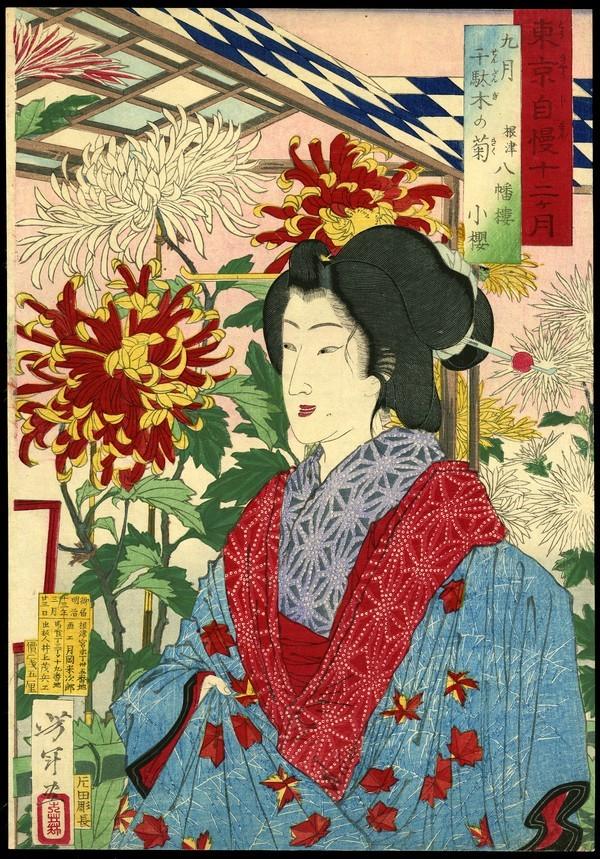 Taiso Yoshitoshi Woodblock: Title: September: Geisha by Chrysanthemums at Sendagi Artist: Yoshitoshi, Taiso, 1839-1892Series: Pride of Tokyo's Twelve Months