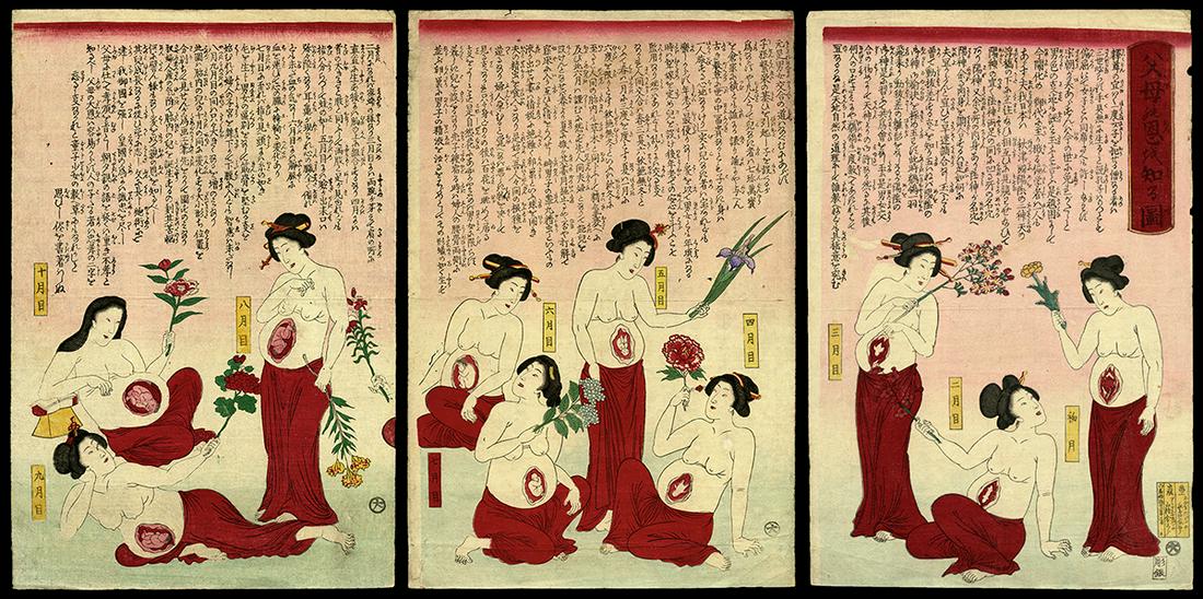 Unread Woodblock - Development of a Fetus (1 of 8)