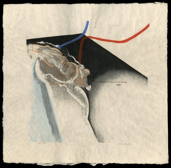 Tetsuya Noda Print: Title: Picture Diary Artist: Noda, Tetsuya, b. 1940Edition: A.P. 3/10Date: 1967