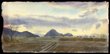 Brian Williams Watercolor: Title: Field Artist: Williams, Brian, b.1950Date: 1981Medium: watercolorDimensio