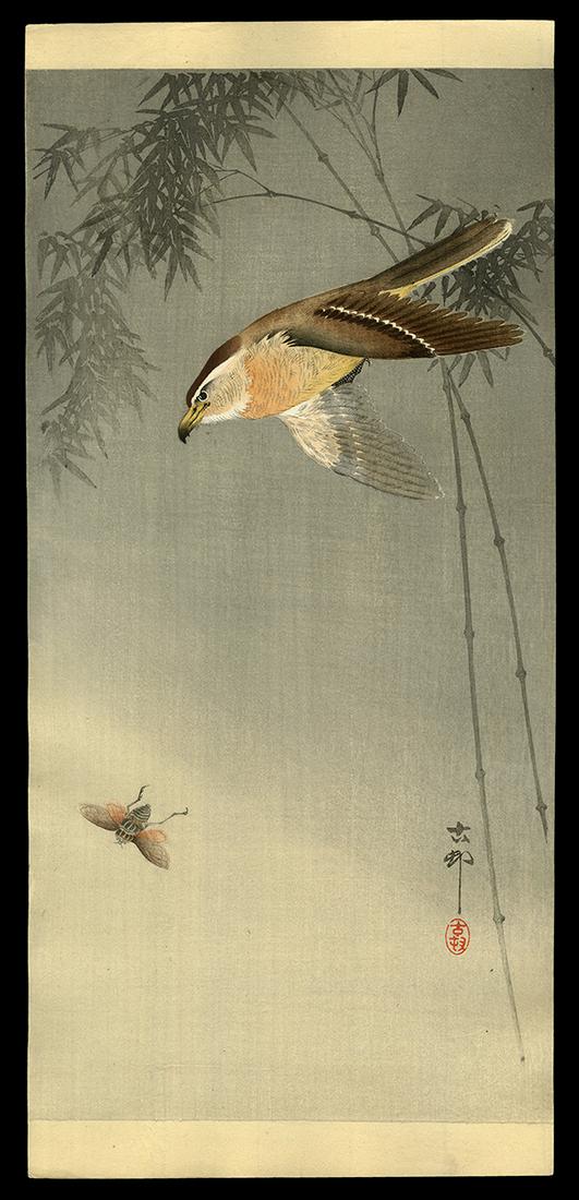 Ohara Koson Woodblock - Hawk Chasing an Insect (1 of 2)
