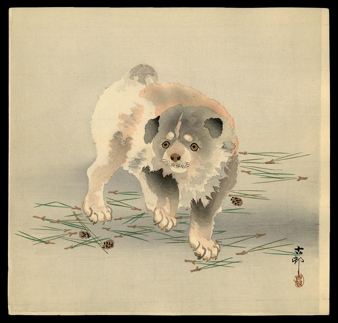 Koson Woodblock - Puppy Walking on Fallen Pine: Artist: Koson, Ohara, 1877-1945 Title: Puppy Walking on Fallen Pine Needles Date: c. 1910 Medium: Japanese woodblock print Image Size: 9 3/8 x 9 1/2 inches