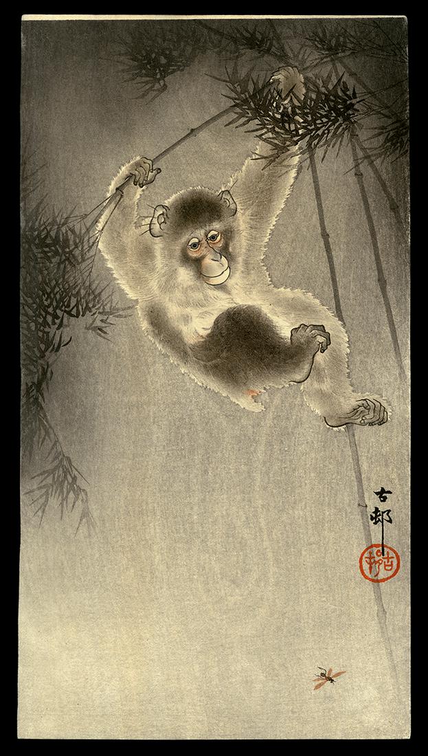 Ohara Koson Woodblock - Monkey Observing a Fly (1 of 2)