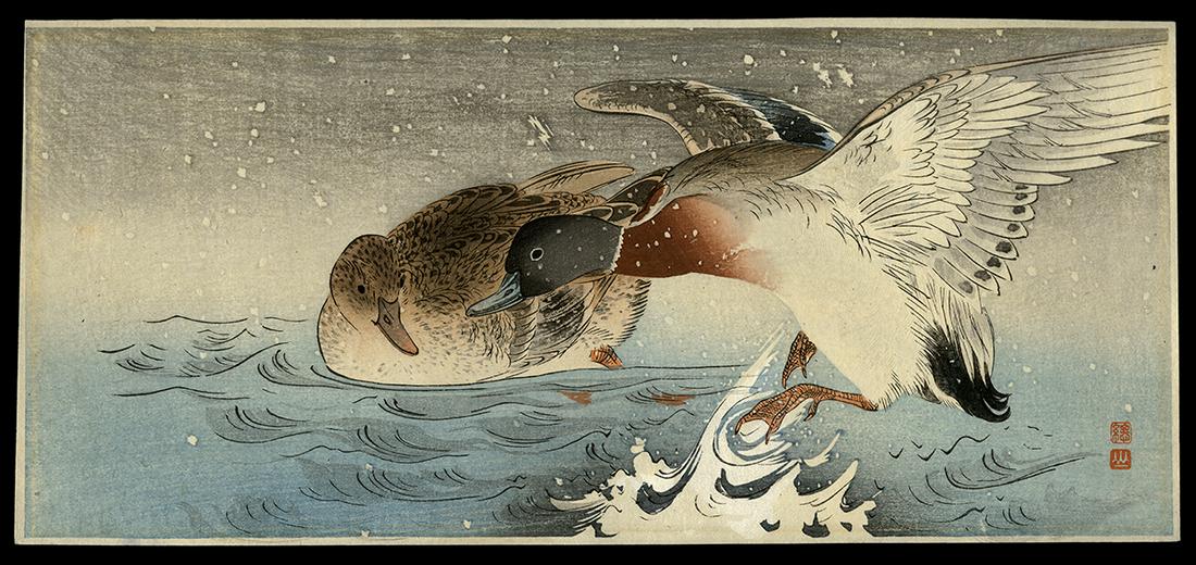Ito Sozan Woodblock - Mallard Ducks (1 of 2)