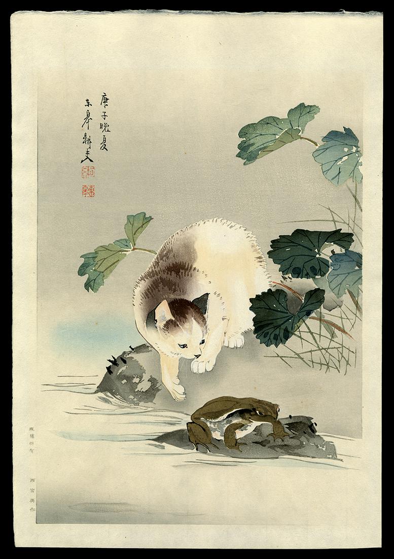 Oide Toko Woodblock - Kitten Teasing a Bull-Frog: Artist: Toko, Oide, 1841-1905 Title: Kitten Teasing a Bull-Frog Date: c. 1915 Medium: Japanese woodblock print Image Size: 13 3/4 x 9 7/8 inches Notes: Published by Has