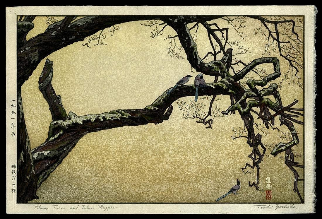 Toshi Yoshida Woodblock - Plum Tree and Blue Magpie: Artist: Yoshida, Toshi, 1911-1995 Title: Plum Tree and Blue Magpie Date: 1951 Medium: Japanese woodblock print Image Size: 9 3/4 x 14 3/4 inches Notes: Pencil signature