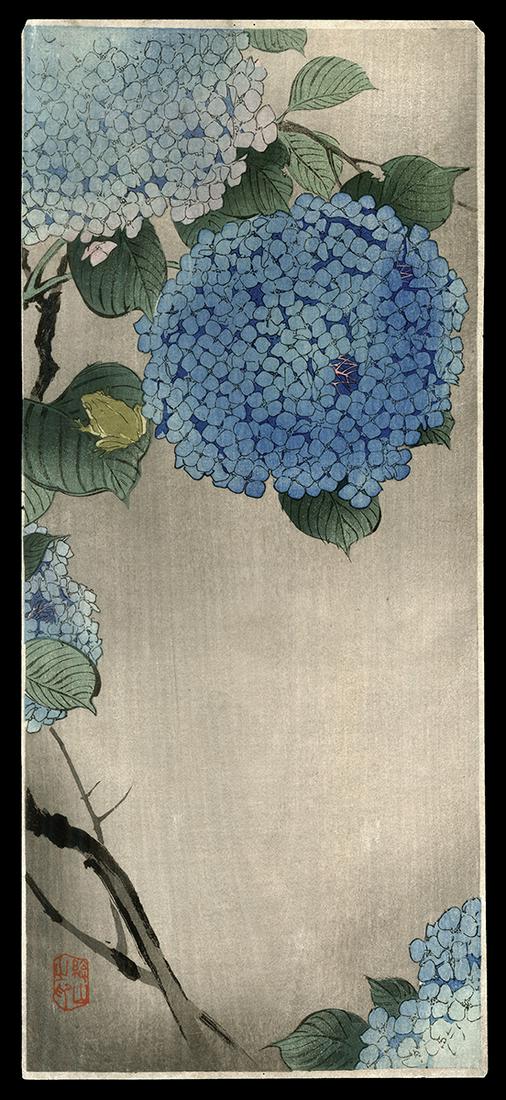 Ito Sozan Woodblock - Hydrangea (1 of 2)