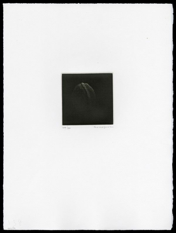 Yozo Hamaguchi Mezzotint: Title: Walnut Artist: Hamaguchi, Yozo, 1909-2000Edition: 138/150Date: 1982Medium