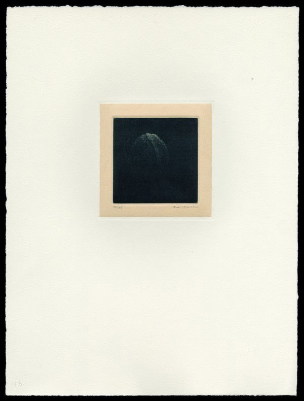 Yozo Hamaguchi Color Mezzotint: Title: Blue Walnut Artist: Hamaguchi, Yozo, 1909-2000Edition: 73/145Date: 1982-89