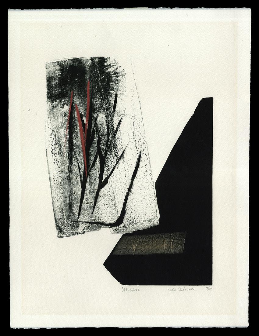Toko Shinoda Lithograph - Illusion (1 of 2)