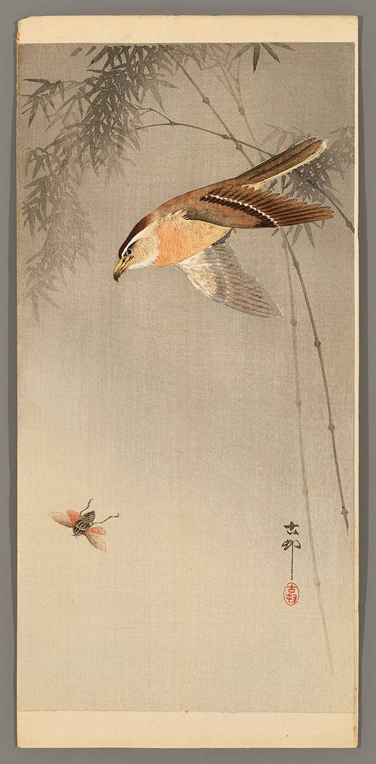 Ohara Koson Woodblock - Hawk Chasing an Insect (1 of 2)