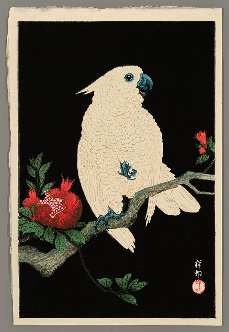 Ohara Shoson Woodblock - Cockatoo and Pomegranate (1 of 2)