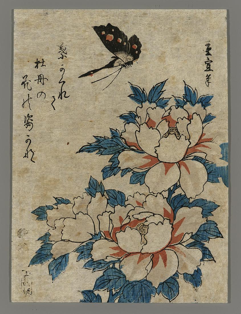 Hiroshige Japanese Print - Peonies and Butterfly: Artist: Hiroshige, Ando, 1797-1858 Title: Peonies and Butterfly Date: c. 1840s Medium: Japanese woodblock print Image Size: 8 3/4 x 6 3/8 inches Notes: High resoluti
