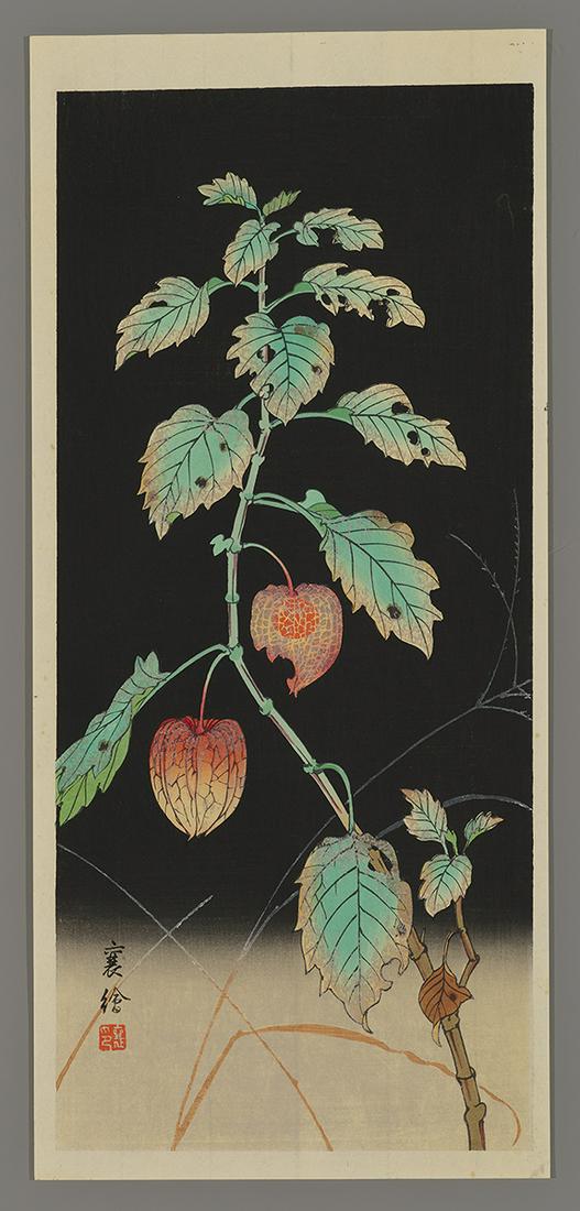 Jo Japanese Woodblock Print - Lantern Plant at Night (1 of 2)