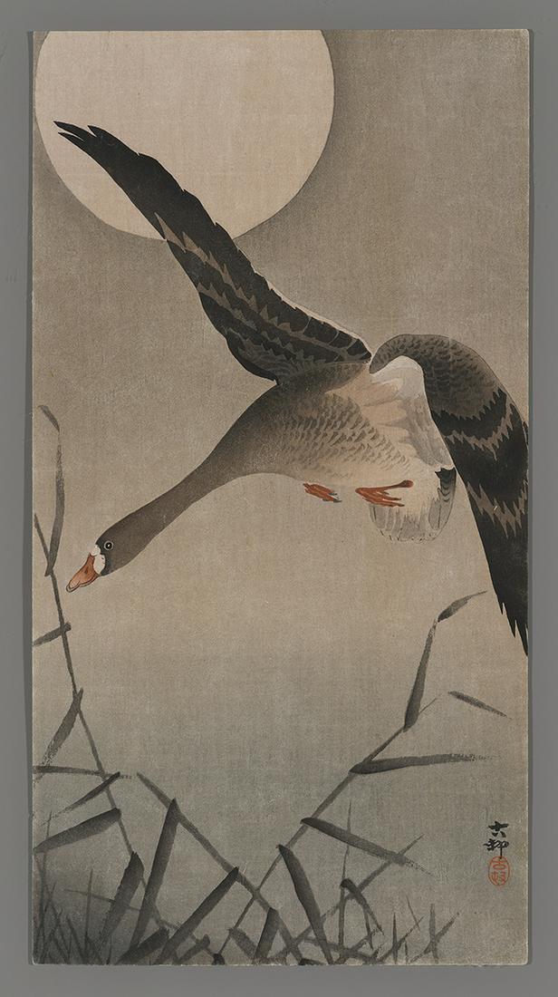 Ohara KosonWoodblock Print - White-fronted Goose (1 of 2)