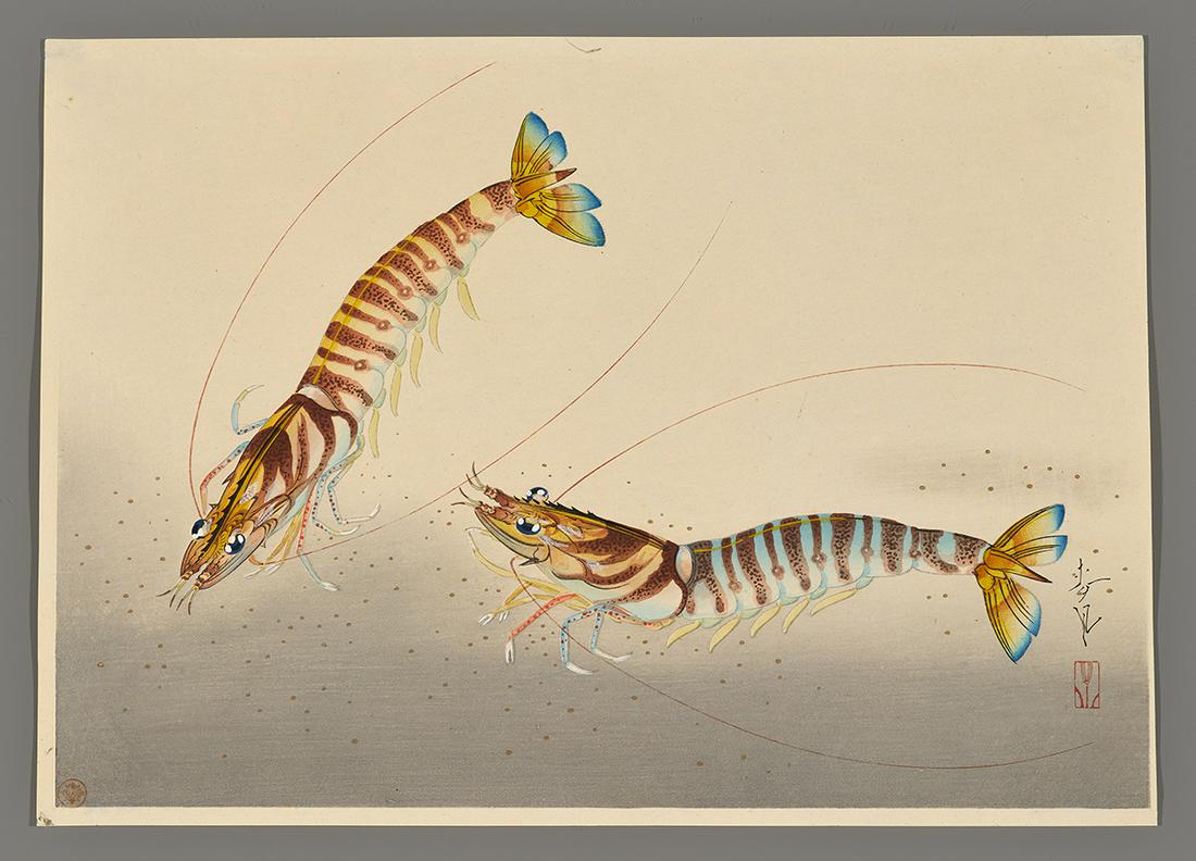 Ohno Bakufu Japanese Woodblock Print - Kuruma Shrimp (1 of 2)