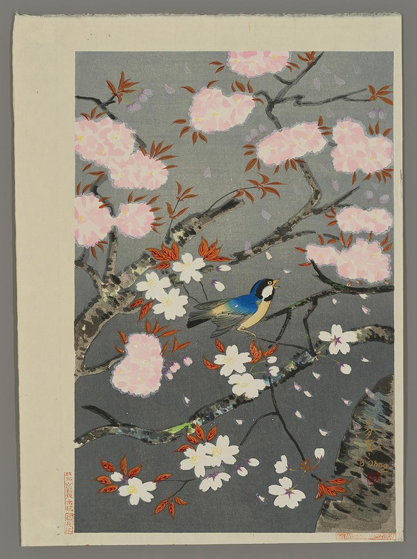 Ohno Bakufu  Japanese Woodblock - Cherry Blossoms (1 of 2)