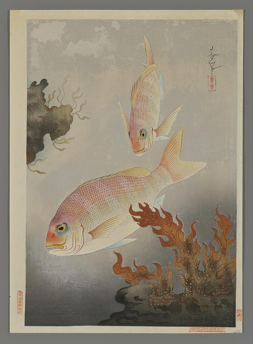 Ohno Bakufu Japanese Woodblock Print - Red Snappers (1 of 2)