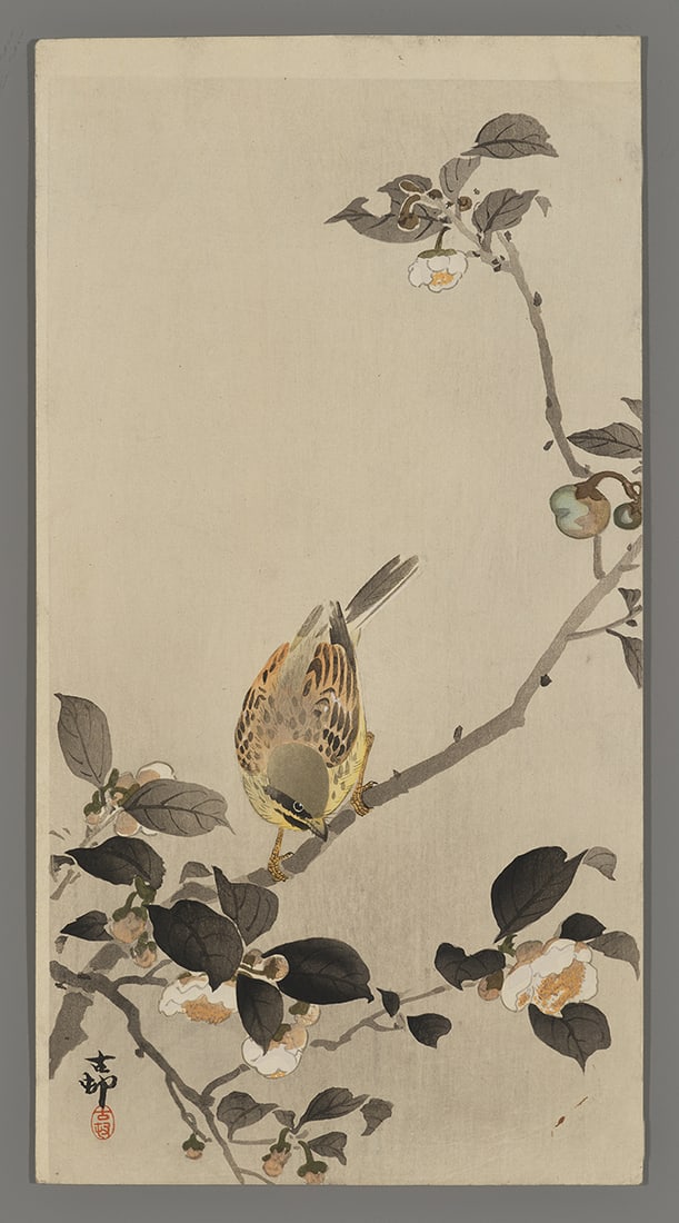 Ohara Koson Woodblock - Bunting Perched on the Branch of a Flowering Plant (1 of 2)