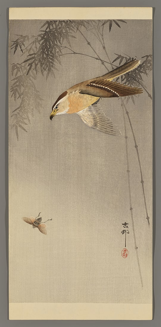 Ohara Koson Woodblock - Hawk Chasing an Insect (1 of 2)