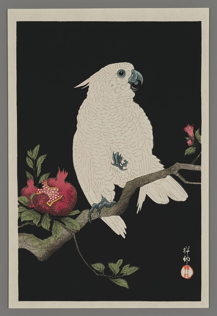 Ohara Shoson Woodblock - Cockatoo and Pomegranate (1 of 2)