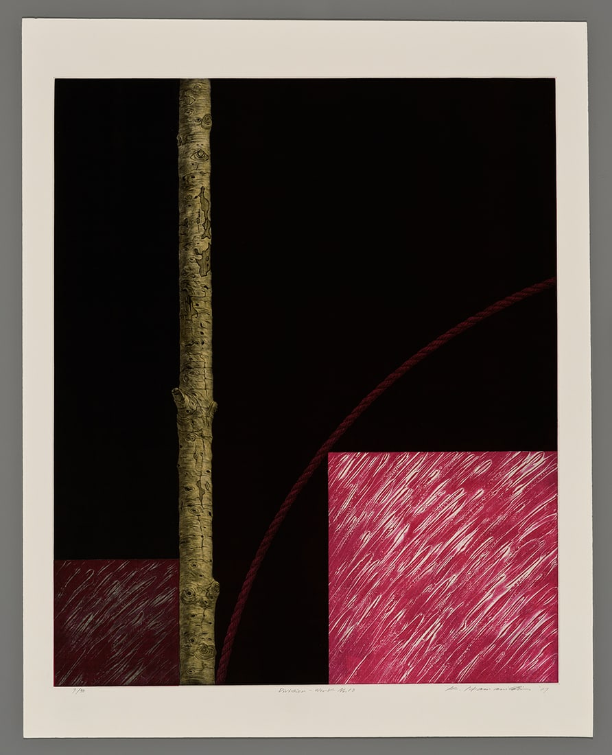 Katsunori Hamanishi Mezzotint - Division-Work No. 13: Artist: Hamanishi, Katsunori, b. 1949 Title: Division - Work No. 13 Edition: 9/50 Date: 1989 Medium: mezzotint Image Size: 23 3/8 x 19 3/8 inches Notes:
