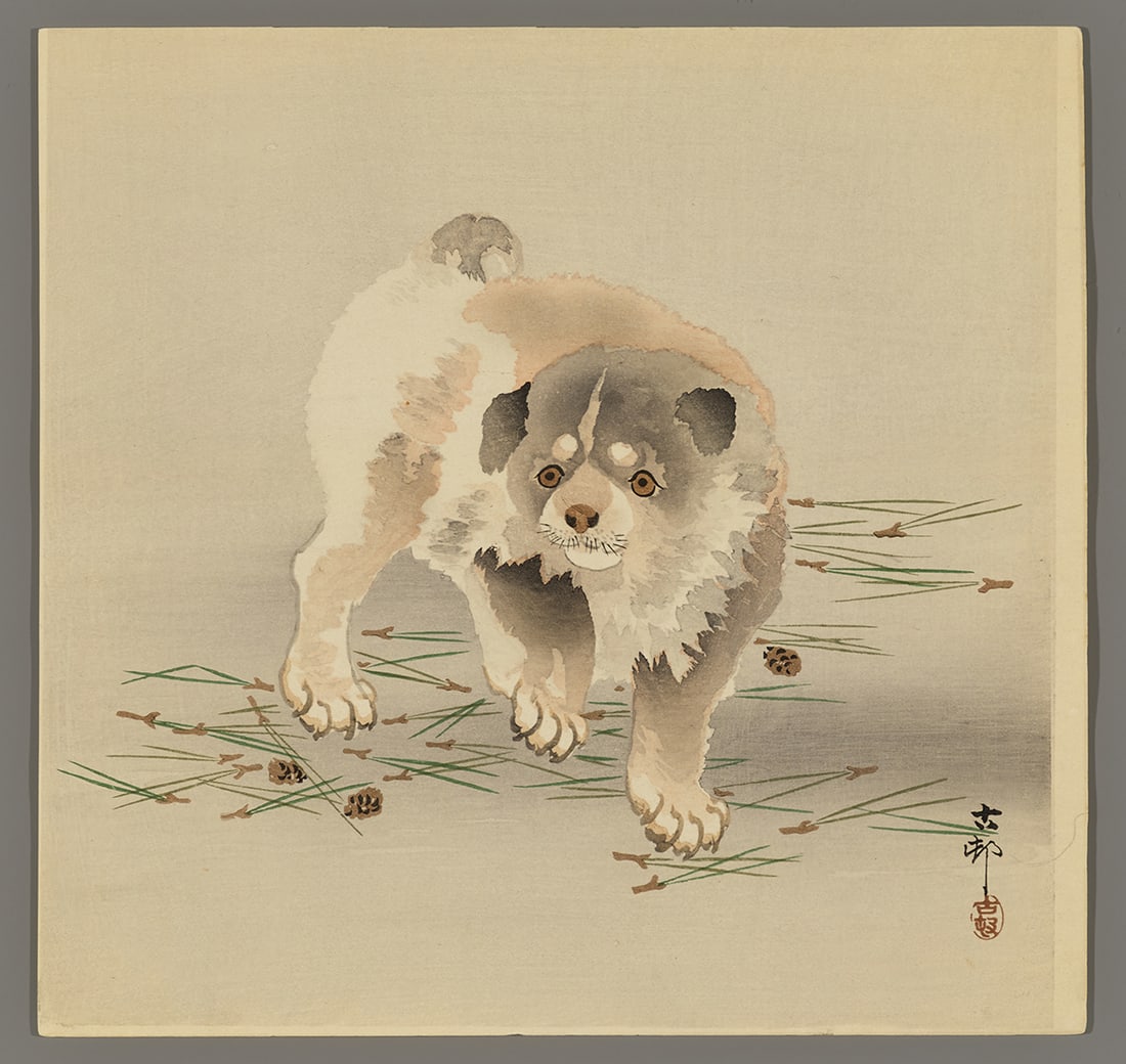 Koson Woodblock - Puppy on Fallen Pine Needles: Artist: Koson, Ohara, 1877-1945 Title: Puppy Walking on Fallen Pine Needles Date: c. 1910 Medium: Japanese woodblock print Image Size: 9 3/8 x 9 1/2 inches Illustrated: