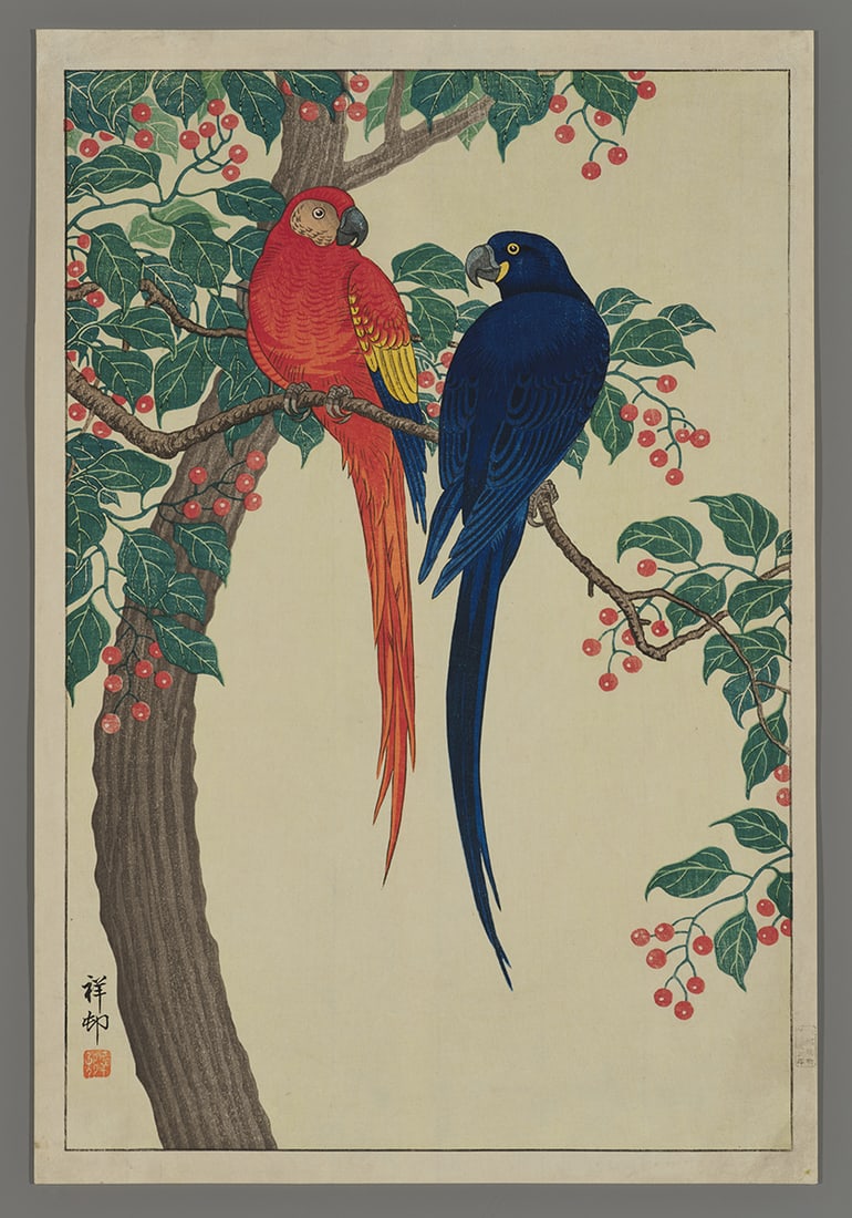 Ohara Shoson Woodblock - Two Parrots on Cherry Tree (1 of 2)