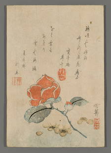 Hoitsu Woodblock - Camellia: Artist: Hoitsu, 1761-1828 Title: Camellia Date: c. 1820s Medium: Japanese woodblock print Image Size: 3 3/8 x 5 1/2 inches Notes: High resolution images and Auction FAQs available on request