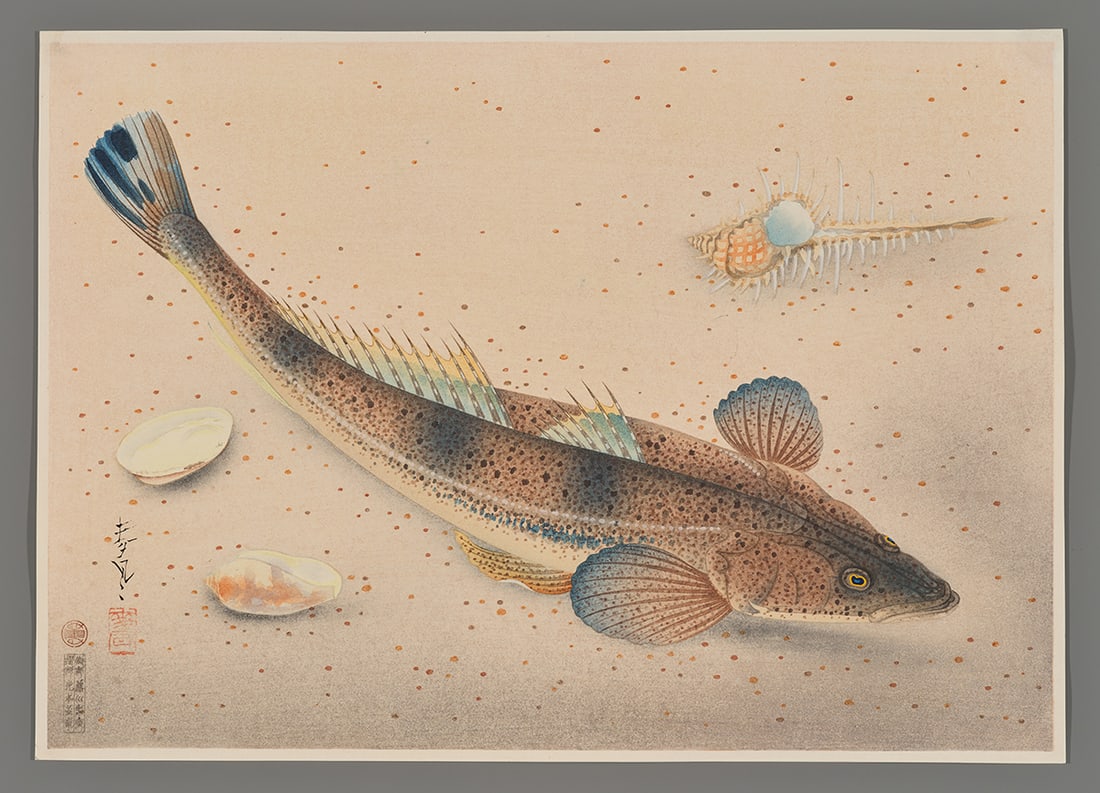Bakufu Ohno Woodblock - Kochi Fish (1 of 2)