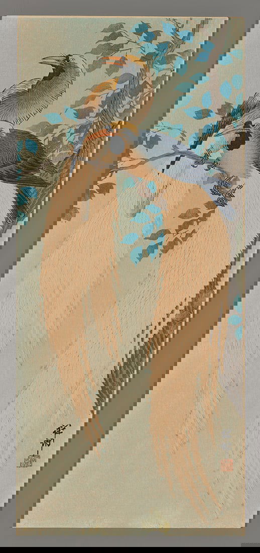 Ohara Shoson Woodblock - Two Birds of Paradise (1 of 2)