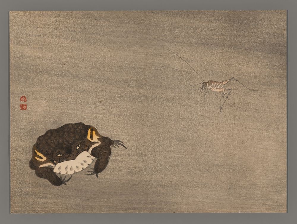 Mori Shunkei Woodblock - Frog and Cricket (1 of 2)