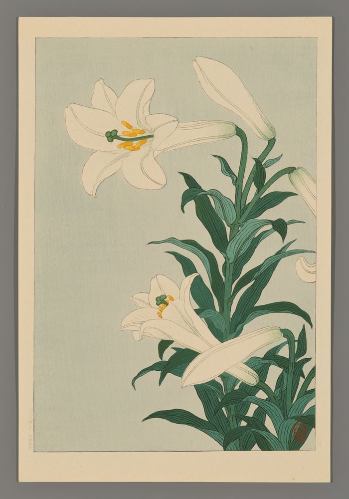 Ohara Hoson Woodblock - White Lily (1 of 2)