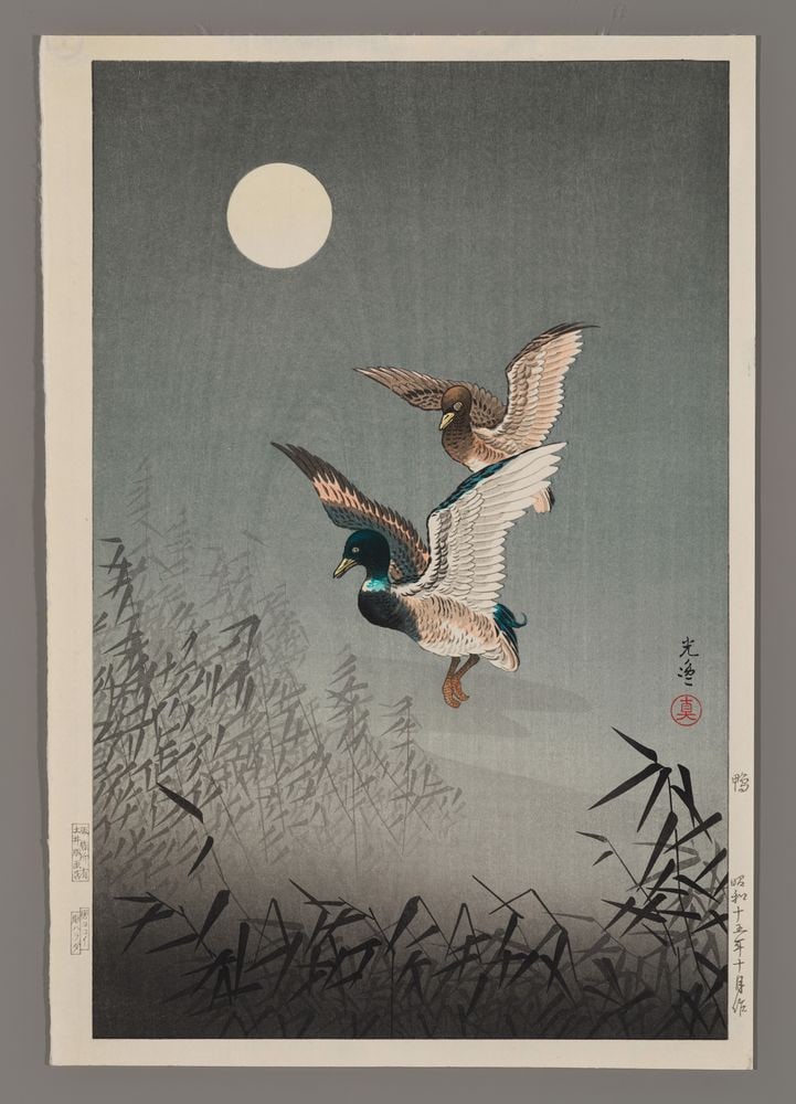 Tsuchiya Koitsu Woodblock - Ducks: Artist: Koitsu, Tsuchiya, 1870-1949 Title: Ducks Date: 1940 Medium: woodblock Image Size: 15 3/8 x 10 inches Illustrated: Koitsu, fig. 3.65 Notes: Publis