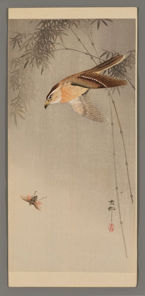 Ohara Koson  - Hawk Chasing an Insect (1 of 2)
