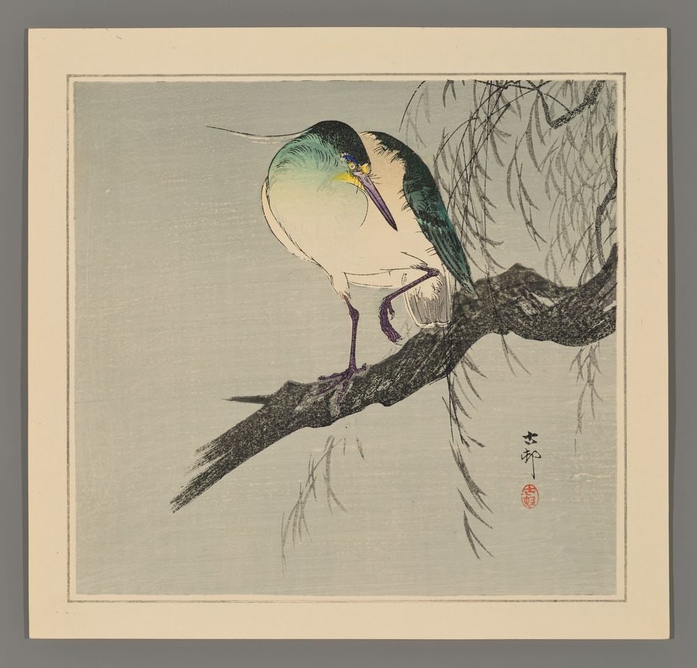 Ohara Koson Woodblock - Night-Heron a Willow Branch: Artist: Koson, Ohara, 1877-1945 Title: Night-Heron with Raised Leg on a Willow Branch Date: c. 1930s Medium: woodblock Image Size: 9 1/4 x 9 3/4 inches Illustrated: CCC