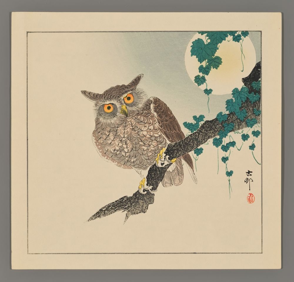 Ohara Koson Woodblock - Scops Owl on a Branch: Artist: Koson, Ohara, 1877-1945 Title: Scops Owl on a Branch, a Full Moon Above Date: c. 1930s Medium: woodblock Image Size: 9 1/4 x 9 3/4 inches Illustrated: CCC, pl.