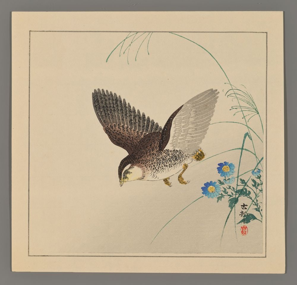 Ohara Koson Woodblock - Quail in Flight (1 of 2)