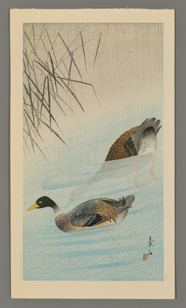 Komori Soseki Woodblock - Mallard Ducks (1 of 2)