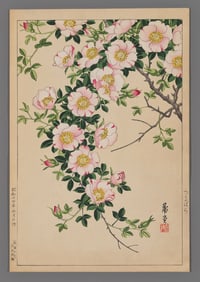 Nishimura Hodo Woodblock - Wild Vine Rose