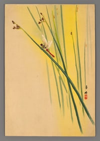 Tsuji Kako Woodblock - Dragonfly on a Plant