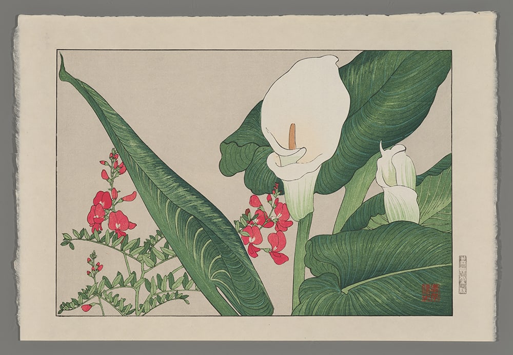 Tanagami Konan Woodblock - Calla Lily and Lathyrus (1 of 2)