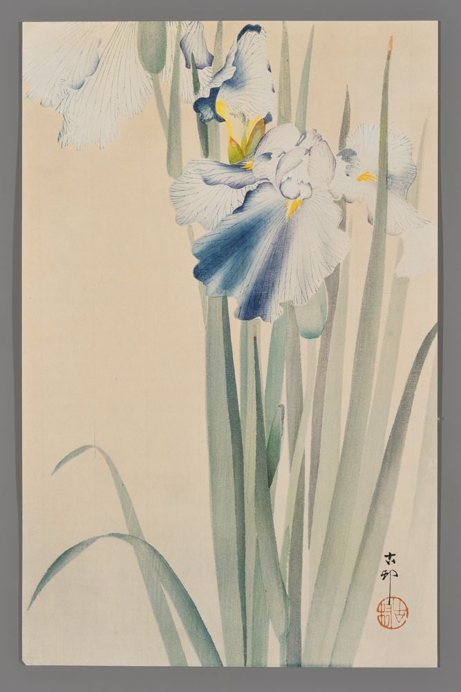 Ohara Koson Woodblock - Iris: Artist: Koson, Ohara, 1877-1945 Title: Iris Date: c. 1910 Medium: Japanese woodblock print Image Size: 16 x 10 1/4 inches Notes: Not illustrated in the Koson catalogue<