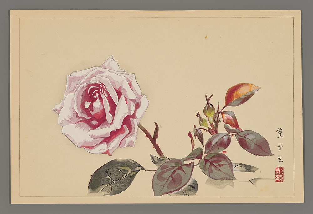 Tsuchiya Rakusan Woodblock - Rose (1 of 2)