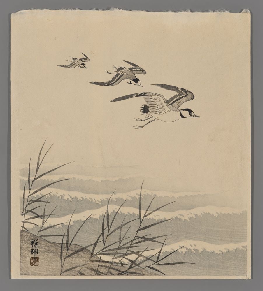 Shoson Woodblock - Plovers in Flight above Waves: Artist: Shoson, Ohara, 1877-1945 Title: Three Plovers in Flight above Waves, Reeds in the Background Date: c. 1930 Medium: Japanese woodblock print Image Size: 11 1/8 x 10 inches <