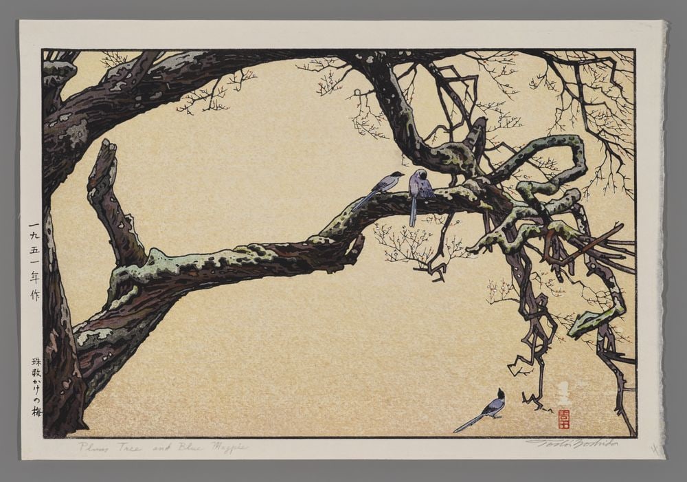 Toshi Yoshida Woodblock - Plum Tree and Blue Magpie: Artist: Yoshida, Toshi, 1911-1995 Title: Plum Tree and Blue Magpie Date: 1951 Medium: Japanese woodblock print Image Size: 9 5/8 x 14 5/8 inches Notes: Pencil signature